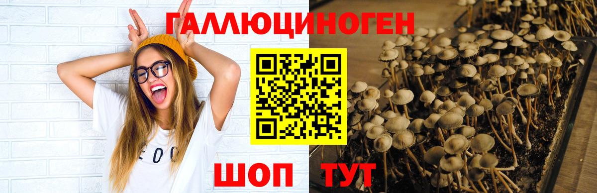 Галлюциногенные грибы Magic Shrooms  что такое наркотик  Менделеевск  Галлюциногенные грибы Magic Shrooms  Вход с VPN 